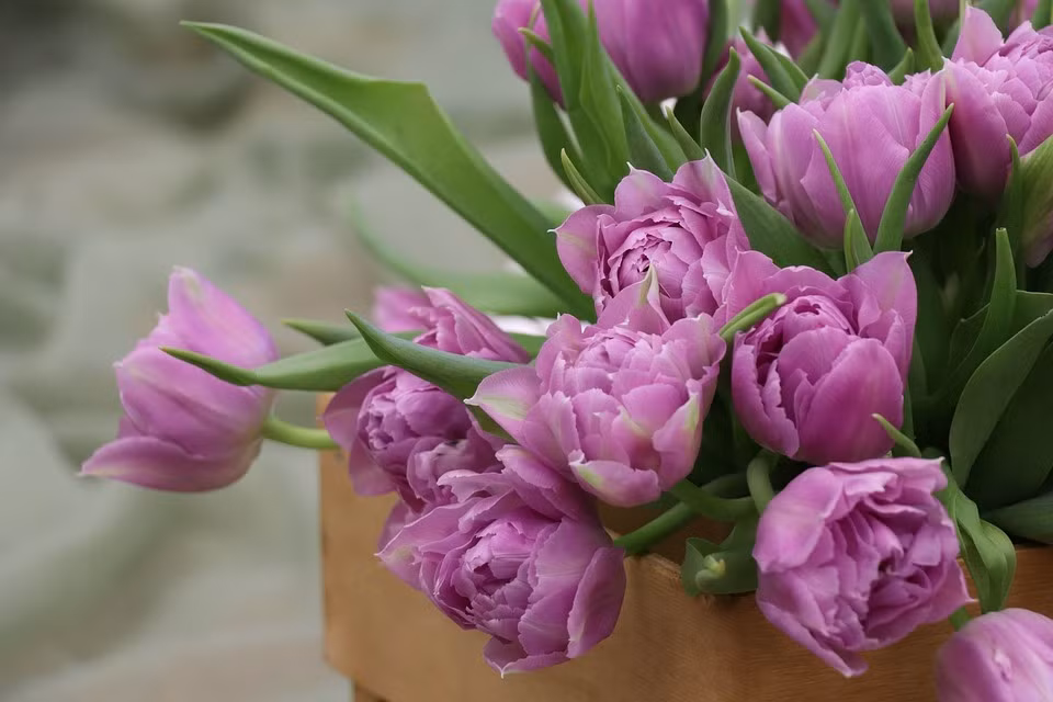 Ai sinh ngay Am lich nay phuoc loc huong ca doi khong het