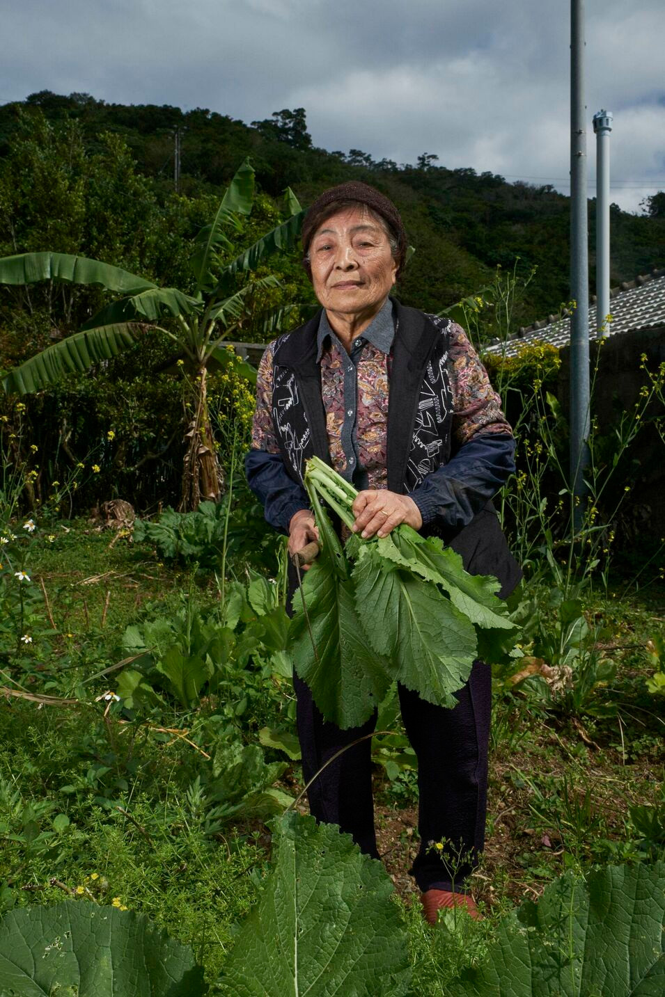 Người dân ưa chuộng những thực phẩm địa phương như khoai lang, mướp đắng, đậu nành, rong biển, rau lá xanh và các loại hoa quả tự trồng. Tất cả đều rất giàu chất chống oxy hóa, giúp giảm viêm và căng thẳng. Ảnh: Parallelorezo.