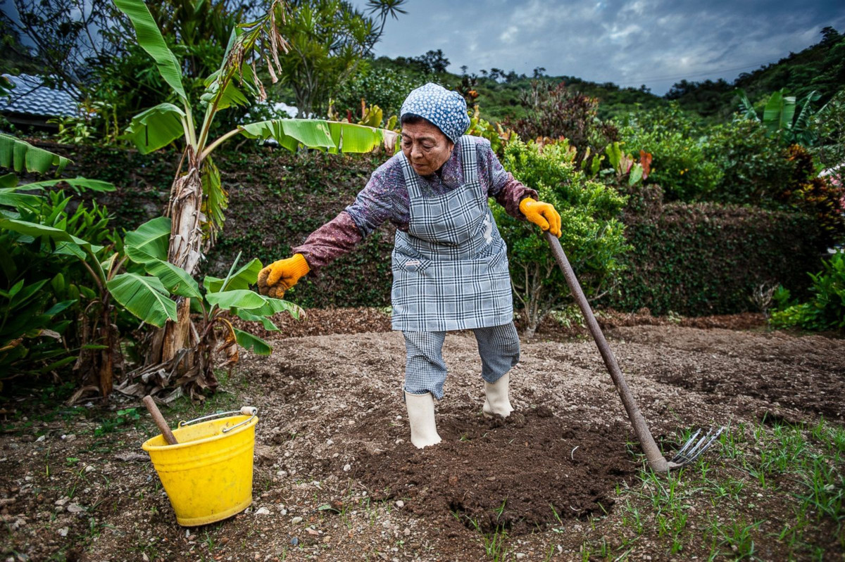 Cấu trúc xã hội và sự hỗ trợ của cộng đồng giúp người cao tuổi vẫn có công việc tạo ra thu nhập, cũng như giữ tinh thần thoải mái, hòa đồng với mọi người. Đó là điều quan trọng để sống thật lâu. Ảnh: Enozapita.