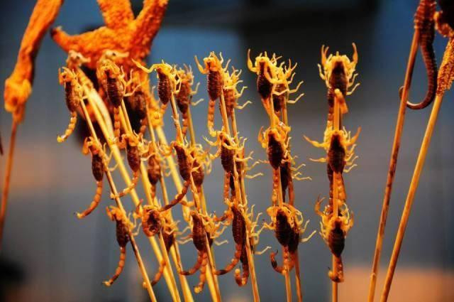 Tan mat mon canh bo cap “dat cuoc mang song” cua dan sanh an-Hinh-4