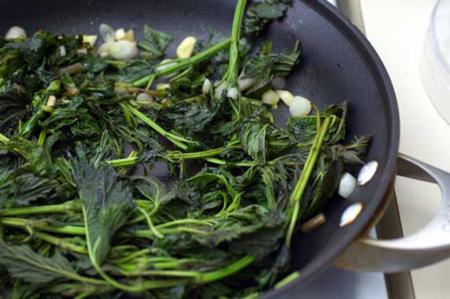  8. Cây tầm ma: Trong cộng đồng người Kikuyu ở Kenya, mukimo là một món ăn được làm từ ngũ cốc, khoai tây và các loại lá luộc chín, sau đó nghiền nát và trộn với nhau. Một trong những loại rau xanh được sử dụng nhiều nhất là cây tầm ma hay còn gọi là hatha hoặc thabai. Lá của loài cây này có các gai châm chích, nếu chạm vào sẽ bị ngứa. Thế nhưng, điều kỳ lạ là người dân ở đây luộc và ăn cả cây.