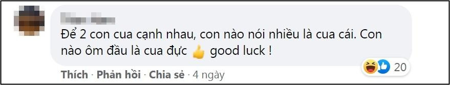 Mẹ người yêu nhờ đi mua cua đực, cô gái kêu trời giữa chợ - Hình 2 Me nguoi yeu nho di mua cua duc, co gai keu troi giua cho-Hinh-2