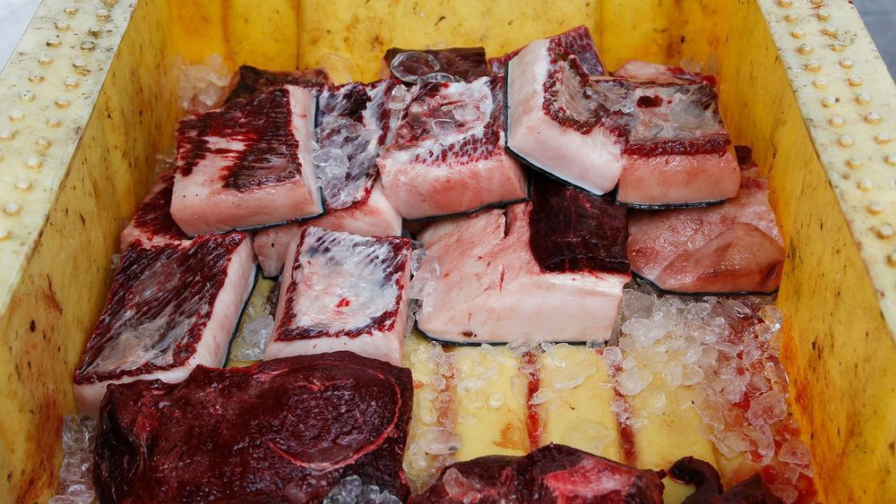  6. Muktuk, Greenland: Muktuk được coi là một món ăn truyền thống của người Inuit, nó được làm từ da và môi cá voi. Muktuk thường được phục vụ sống hoặc ngâm muối. Đây là một nguồn cung cấp vitamin C và D tuyệt vời, nhưng cần phải cân nhắc nếu bạn đang đeo răng giả vì nó rất dai và khó nhai.