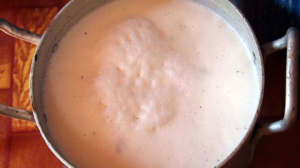  5. Airag, Mông Cổ: Ở Mông Cổ, họ tạo ra một loại bia có tên là airag (hay ayrag) bằng cách lấy sữa của một con ngựa cái và để nó lên men thành một chất lỏng có ga, có vị chua và cồn. Theo truyền thống, nó được phục vụ ướp lạnh trong một chiếc bát, cặn bã phải được đổ trở lại thùng chứa chính. Người Mông Cổ đã uống airag trong nhiều thế kỷ.