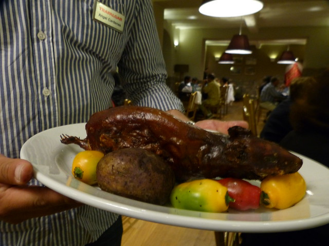  11. Chuột lang Peru – Peru: Nếu bạn từng đến một cửa hàng thú cưng và nhìn những chú chuột lang dễ thương trong lồng thì sẽ cảm thấy bối rối khi nghe chuột lang là món ngon ở Peru. Trung bình, người Peru tiêu thụ khoảng 65 triệu con chuột lang mỗi năm và thậm chí họ còn tổ chức các lễ hội lớn trên khắp đất nước để tôn vinh loài chuột này. 