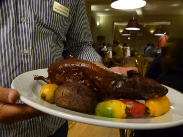  11. Chuột lang Peru – Peru: Nếu bạn từng đến một cửa hàng thú cưng và nhìn những chú chuột lang dễ thương trong lồng thì sẽ cảm thấy bối rối khi nghe chuột lang là món ngon ở Peru. Trung bình, người Peru tiêu thụ khoảng 65 triệu con chuột lang mỗi năm và thậm chí họ còn tổ chức các lễ hội lớn trên khắp đất nước để tôn vinh loài chuột này. 