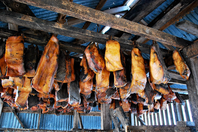  4. Hákarl – Iceland: Từng được mọi người mô tả là “có mùi vị khủng khiếp nhất thế giới”, món ăn này được làm từ xác thối rữa của một con cá mập trắng, chôn trong một cái hố nông và dùng đá đè lên để đẩy hết chất độc ra ngoài. Sau đó, từng thớ thịt sẽ được cắt nhỏ, treo ra ngoài cho khô. Với hương vị tanh nồng và mùi khai của ammoniac, hákarl chắc chắn là món ăn không dành cho những người yếu tim. 