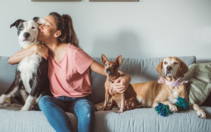 Thoi quen om hon cho meo: Can than cac benh ky sinh trung nguy hiem!