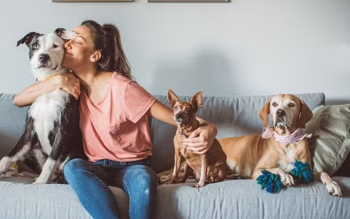 Thoi quen om hon cho meo: Can than cac benh ky sinh trung nguy hiem!