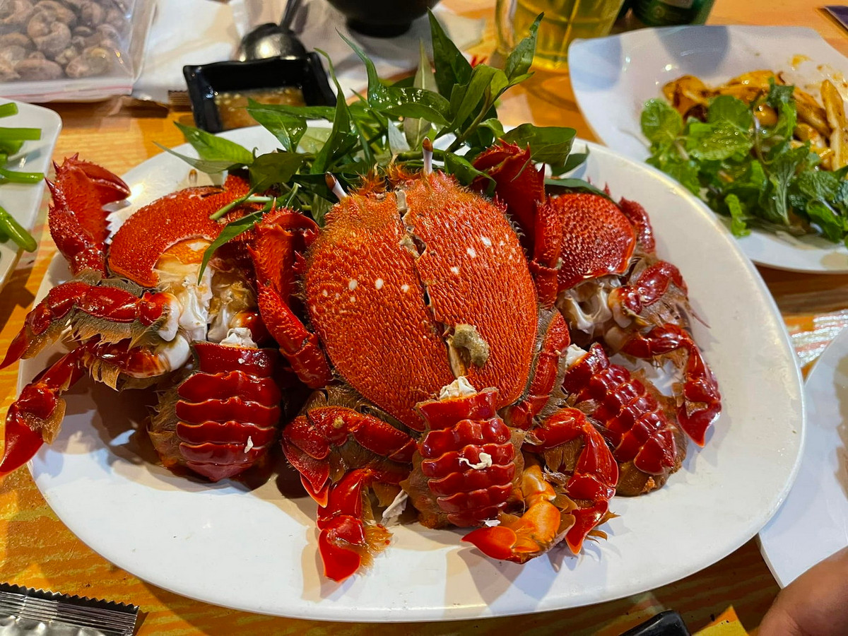 So với các loại hải sản thường gặp, cua huỳnh đế thuộc đẳng cấp cao hơn hẳn. Hiện tại, loại cua này được bán trên thị trường với giá khoảng 700.0000 đến trên 1 triệu đồng tùy theo kích cỡ. Ảnh: Mekong ASEAN.