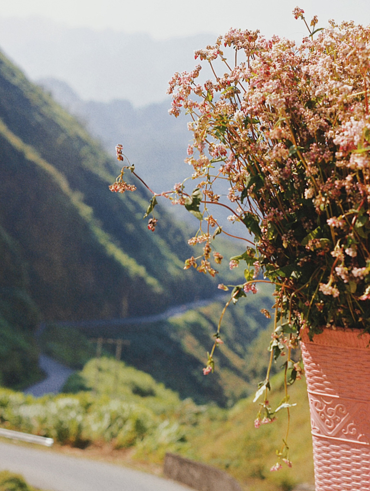 Nhung dia diem check-in co tieng o mien ‘da no hoa’-Hinh-2