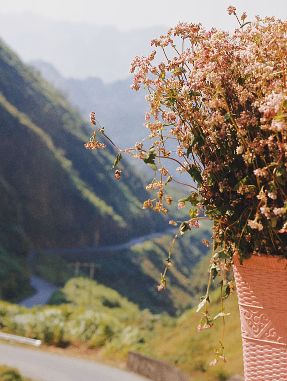 Nhung dia diem check-in co tieng o mien ‘da no hoa’-Hinh-2