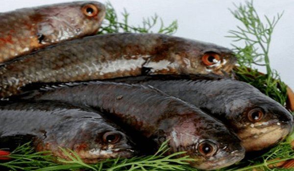 Cá rô Tổng Trường có thịt béo, thơm, dai, ngon, nên được coi là một đặc sản ẩm thực của Ninh Bình từ cách đây trên 1.000 năm. Cùng với cá tràu, cá vua Tổng Trường là “bộ đôi” cá tiến vua nổi tiếng từ thời Đinh – Tiền Lê, đã đi vào văn hóa dân gian với câu khẩu ngữ “Cá rô Tổng Trường, cá tràu tiến vua”.