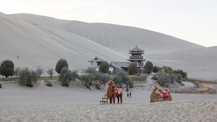 Để được khám phá nơi đây, du khách phải sử dụng lạc đà làm phương tiện giao thông chính