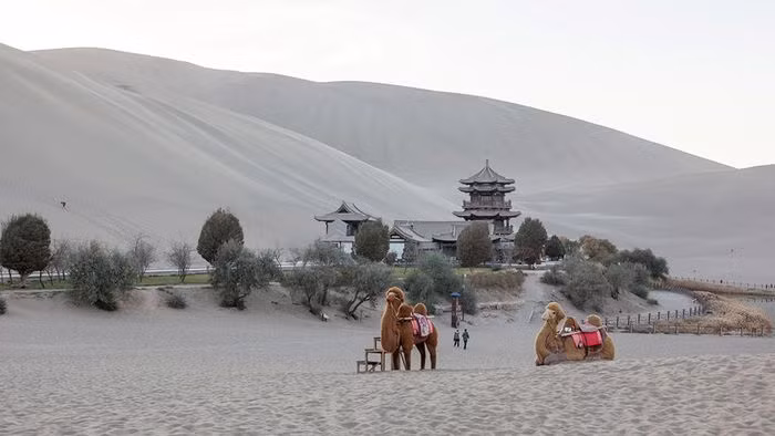 Để được khám phá nơi đây, du khách phải sử dụng lạc đà làm phương tiện giao thông chính