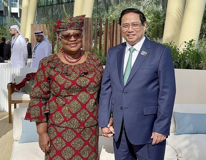 Thủ tướng Phạm Minh Chính gặp Tổng Giám đốc Tổ chức Thương mại thế giới (WTO) Ngozi Okonjo-Iweala. (Ảnh: TTXVN phát)