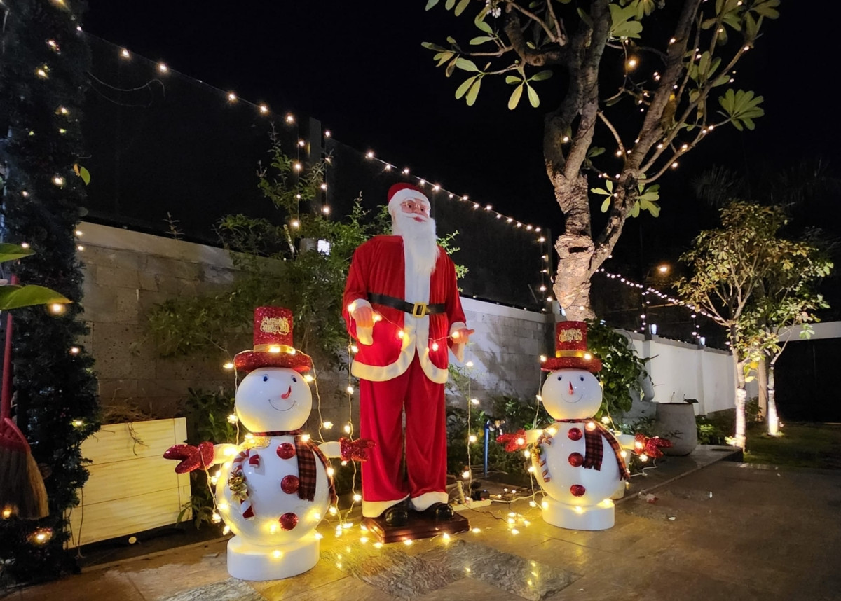 Sao Viet trang hoang nha lung linh, co nguoi dinh trung cay thong den Tet-Hinh-4