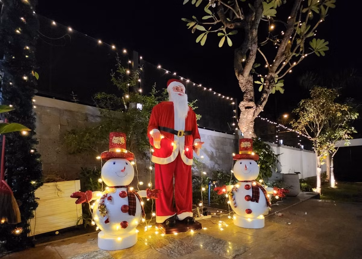 Sao Viet trang hoang nha lung linh, co nguoi dinh trung cay thong den Tet-Hinh-4