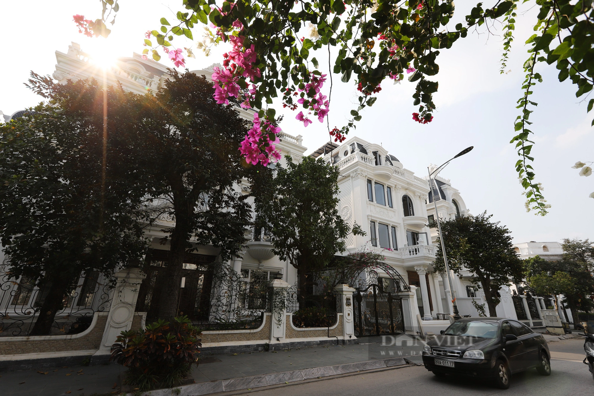 Nhiều người vừa đến đây sẽ choáng ngợp với những căn biệt thự này hết sức sang trọng và xa hoa.