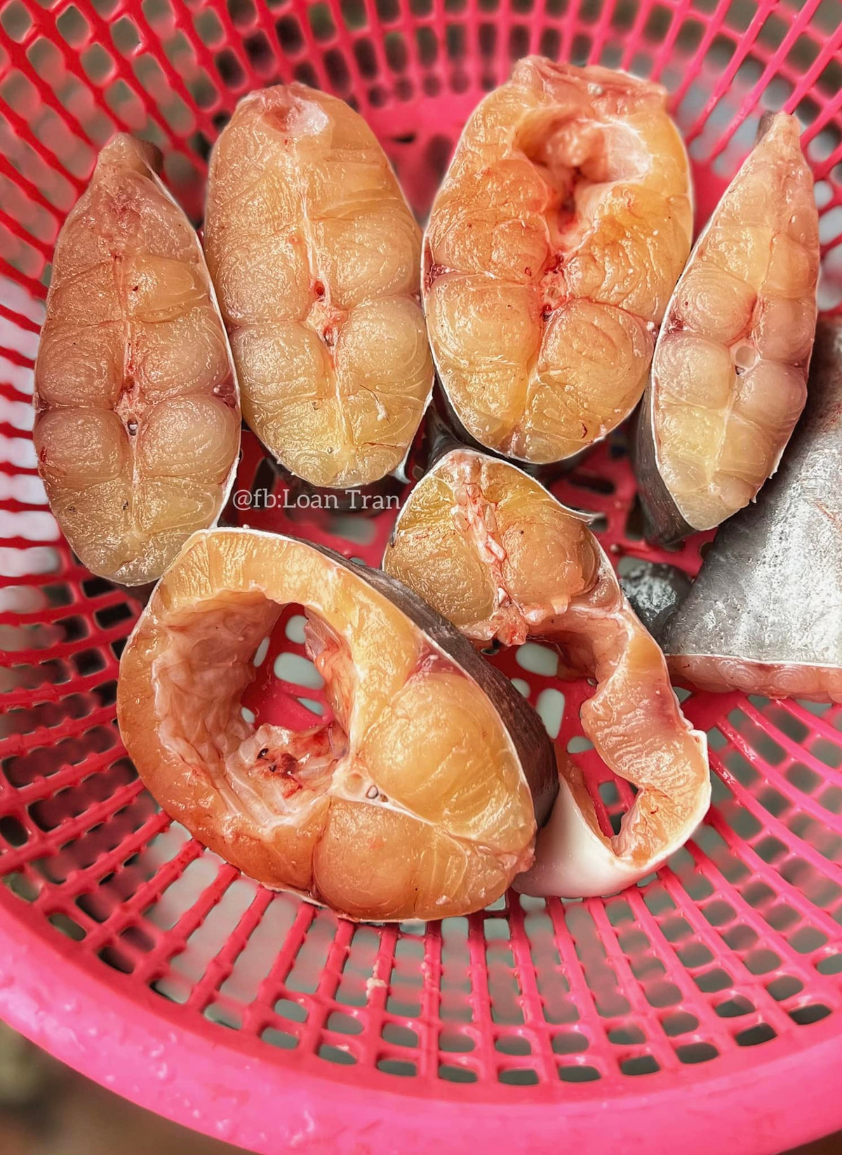 Loai ca song cuc ngon, dac biet tot cho nguoi gia va tre nho-Hinh-2