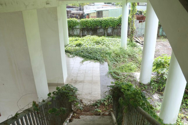 Do nhiều năm không sử dụng nên các khu ký túc xá này cây cỏ, dây leo mọc um tùm.