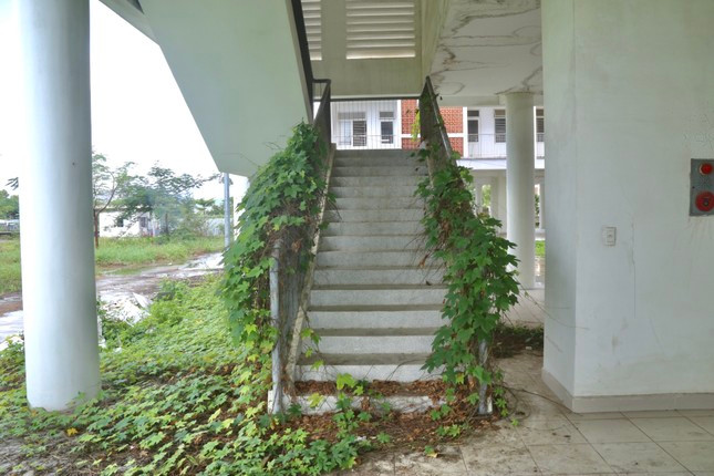 Theo ghi nhận, hai khu ký túc xá (thuộc phường Hòa Khánh Nam, quận Liên Chiểu) đến nay không có người ở, nhiều hạng mục đã xuống cấp, hư hỏng, cây cỏ mọc um tùm, nhếch nhác. Nhiều hạng mục công trình bị hư hỏng, xuống cấp.