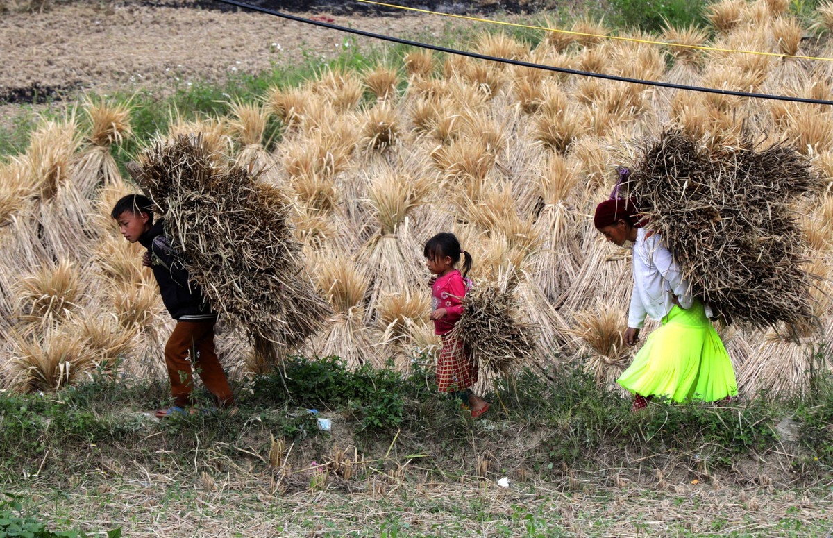 Phía chân núi là cánh đồng Thèn Pả rộng hơn 10 hécta với những nếp nhà trình tường, những máingói âm dươngcổ kính, là những cư dân sống ngay dưới chân cột cờ.