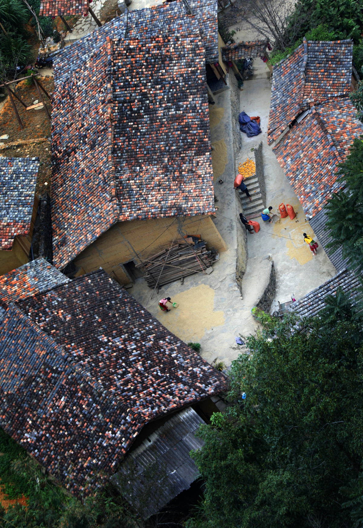 Từ trung tâm thành phố Hà Giang, vượt qua con đường dài 150km du khách sẽ đặt chân đếnCao nguyên đá Đồng Văn. Từ đây, vượt qua những con đường uốn lượn như dải lụa được vẽ trên đá, hai bên đường hoa cải đua nở, bản Thẻn Pả - nơi sinh sống củađồng bào Lô Lôvà Mông, một trong những dân tộc thiểu số rất ít người của nước ta hiện lên trong sự ngỡ ngàng của nhiều người.