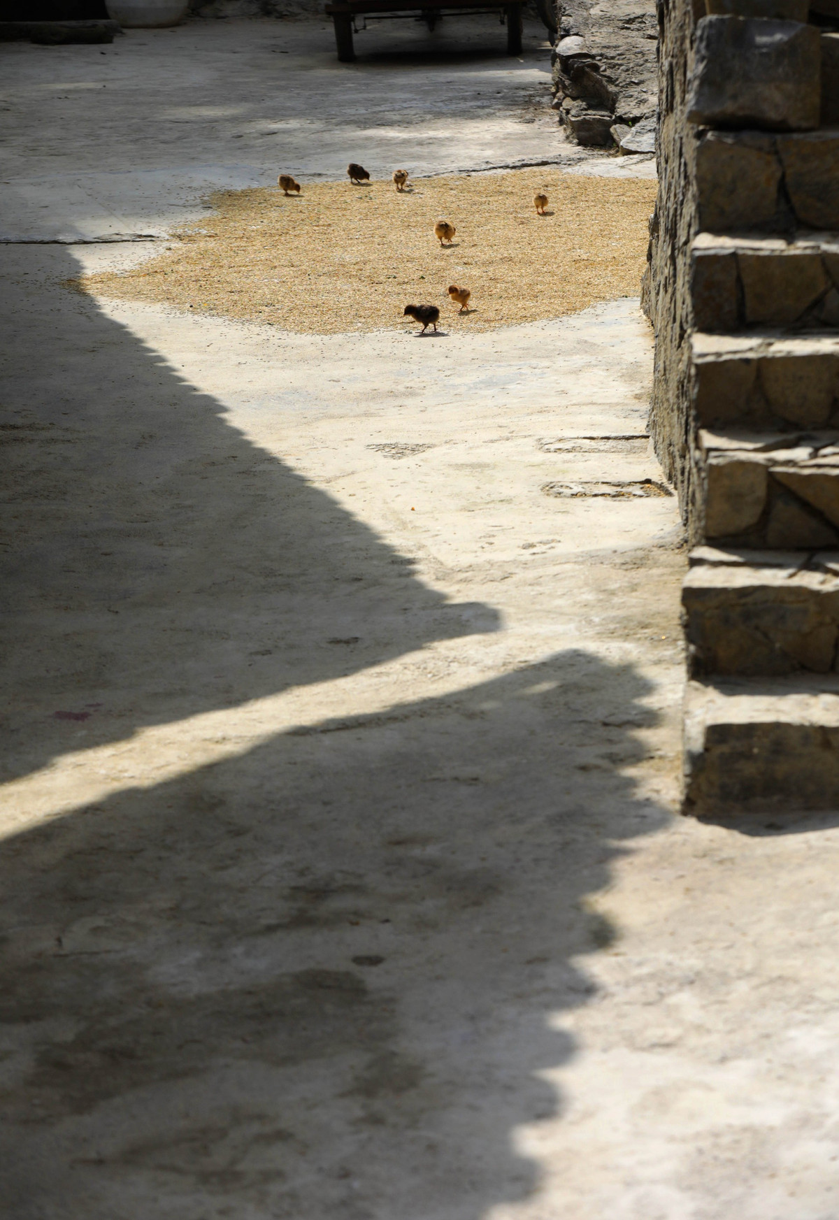 Trước đây, cuộc sống người dân Thèn Pả xoay quanh ruộng vườn, chăn nuôi, trồng trọt.