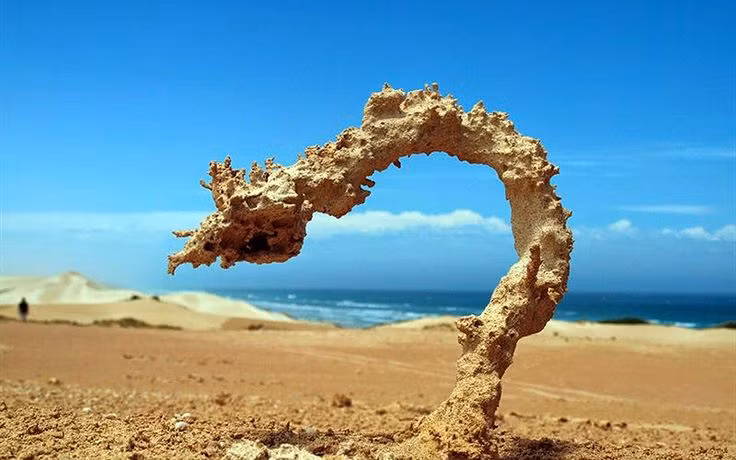 Chua tung thay, Ha Noi hung 10.215 cu set danh chi trong 3 gio-Hinh-3