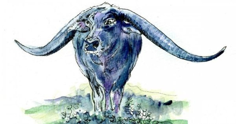  Nhờ làm việc chăm chỉ, trách nhiệm, họ luôn có thể giành được sự tôn trọng của người khác bằng sức mạnh của mình. Tử vi này 27/6, người tuổi Sửu gặp được quý nhân, đạt được nhiều kết quả tốt đẹp trong sự nghiệp và tài lộc sẽ tiếp tục tăng lên.