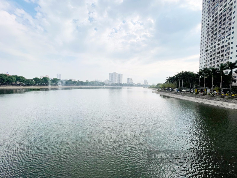 Cá nhảy khỏi mặt nước hồ Linh Đàm, chuyên gia cho biết lý do - Hình 2 Ca nhay khoi mat nuoc ho Linh Dam, chuyen gia cho biet ly do-Hinh-2