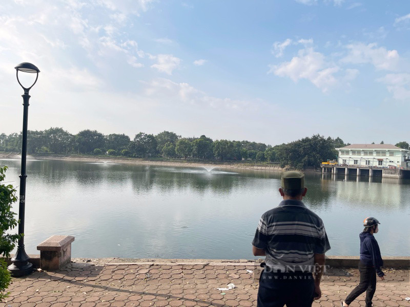 Cá nhảy khỏi mặt nước hồ Linh Đàm, chuyên gia cho biết lý do Ca nhay khoi mat nuoc ho Linh Dam, chuyen gia cho biet ly do