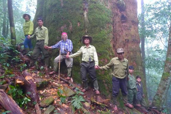  Trong Vườn quốc gia Pù Mát có “cụ” cây Sa mu dầu cổ thụ với hơn 2.000 năm tuổi. Cây được một nhóm chuyên gia điều tra về đa dạng sinh học phát hiện vào năm 1998. Tháng 10/2010, cây Sa mu dầu này được Hội Bảo vệ thiên nhiên và Môi trường Việt Nam công nhận là Cây di sản Việt Nam.