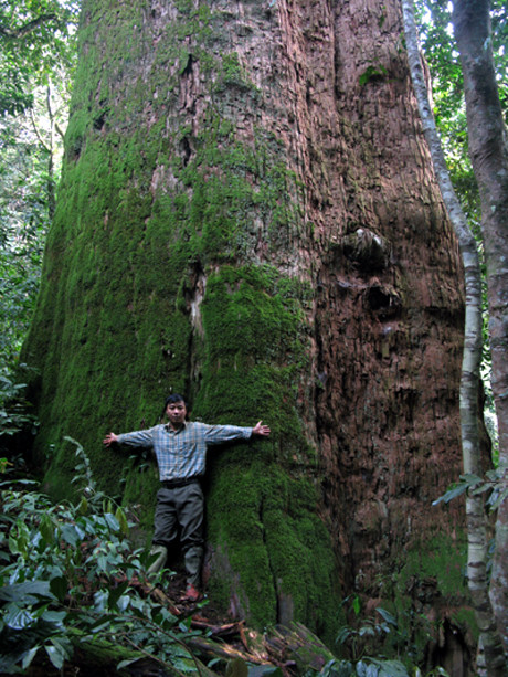 Nơi đây có khung cảnh thiên nhiên tuyệt đẹp với những thác nước hùng vĩ. Đặc biệt, vườn quốc gia Pù Mát rất đa dạng sinh học với hàng nghìn loài thực vật và động vật.