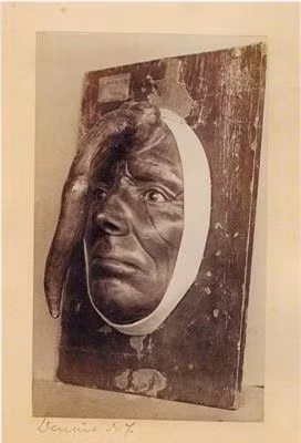 2. Người phụ nữ mọc sừng: Đây là mô hình sáp của bà Dimanche (Bà quả phụ Sunday) người có chiếc sừng dài 25cm mọc ra ở trên trán. Chiếc sừng đạt được độ dài như vậy do nó đã có 6 năm tuổi đời và sau đó nó đã được gỡ bỏ thành công bởi một bác sĩ phẫu thuật người Pháp nổi tiếng.