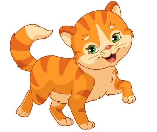  Con giáp tuổi Mão thường có trí tuệ sắc bén và óc sáng tạo. Họ thích khám phá những ý tưởng mới, có khả năng giải quyết vấn đề một cách linh hoạt và hiệu quả.