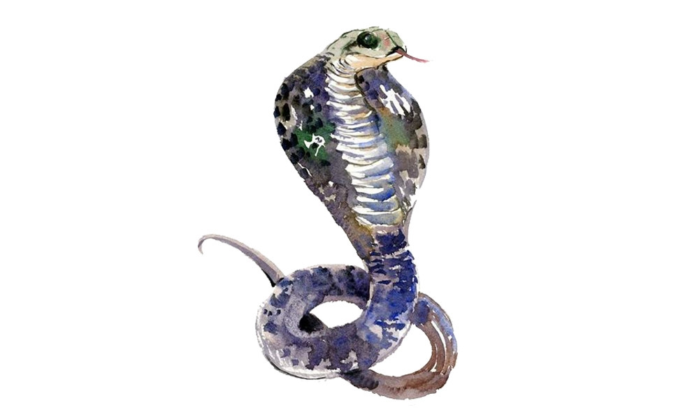  Càng về cuối năm, cuộc sống của người tuổi Tỵ càng thịnh vượng hơn. Ngoài ra, con giáp này có cơ duyên tốt. Con giáp này gặp được những người giỏi giang, sống tích cực. Người còn độc thân có mối quan hệ tốt đẹp với người khác giới. *Thông tin trong bài chỉ mang tính chiêm nghiệm, tham khảo (Theo Sohu)