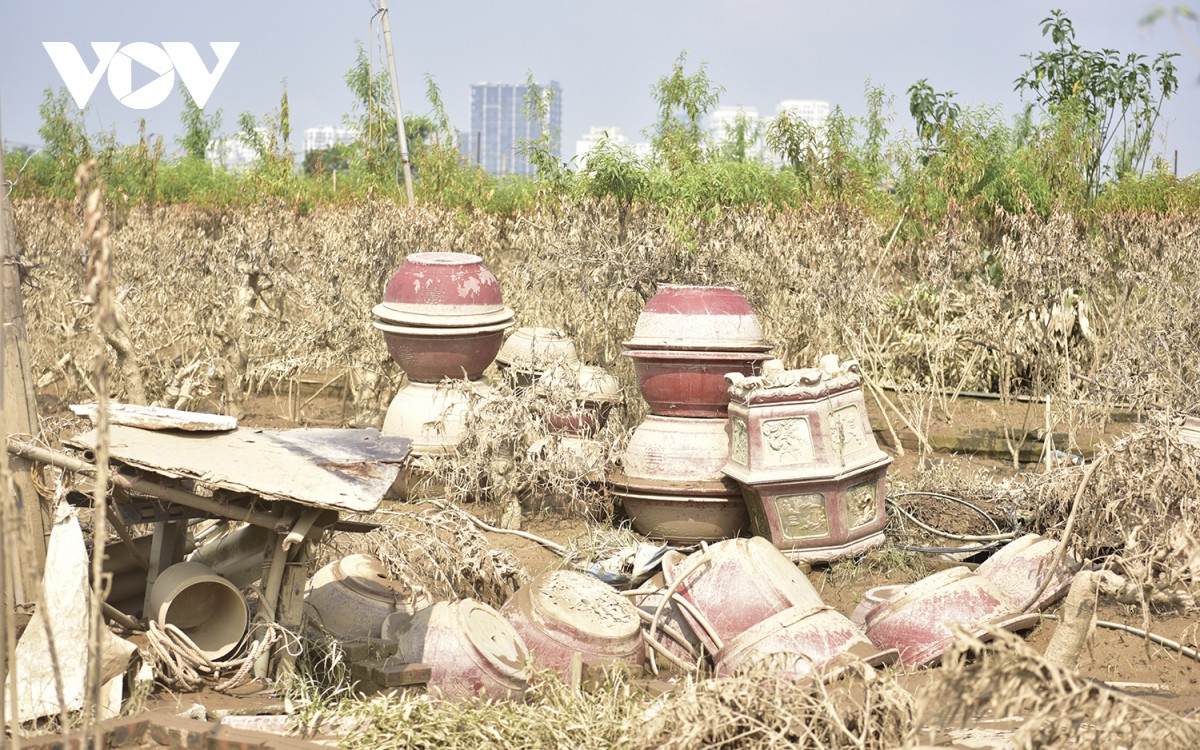 br/> Nhiều hộ dân có vườn ở xa đê hầu như không kịp cứu do quá nhiều cây, ruộng rộng và thời gian thì rất gấp, nhân lực không đủ.