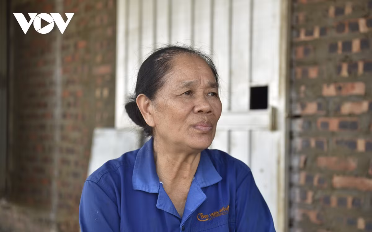 Trồng đào khoảng 50 năm năm qua, nhưng đây là lần đầu tiên bà Mai cũng như những người trồng đào ở Nhật Tân mới chứng kiến cảnh lũ lịch sử gây ra thiệt hại nặng nề như vậy.