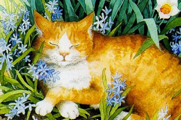 Tuổi Mão: Người cầm tinh con Mèo làm việc gì cũng luôn thận trọng. Trước một sự việc, dù trong lòng có phán đoán riêng nhưng họ vẫn im lặng, không đưa ra ý kiến, thường thăm dò xem người khác làm như thế nào rồi mới làm theo.