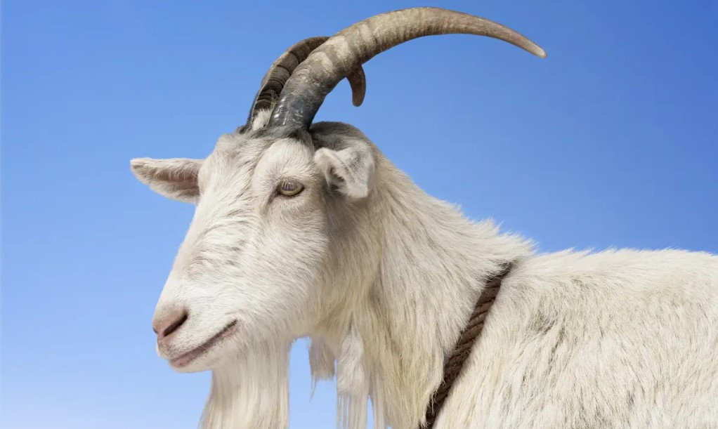 Trong khi đó, sao Thiên Ất chủ về những may mắn trong các mối quan hệ, cho thấy con giáp này sẽ được quý nhân che chở, giúp đỡ. Với sức mạnh và tầm ảnh hưởng của mình, người này được cho là sẽ dẫn đường chỉ lối, tạo cơ hội và hướng tuổi Mùi tới những thành công trong công việc.