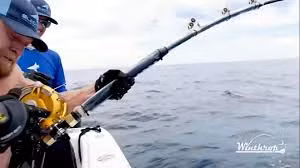 Jujimufu vốn không phải là thợ săn cá chuyên nghiệp. Tuy nhiên, với bản lĩnh và sức mạnh của một vận động viên thể hình, anh đã không ngần ngại thử sức với thử thách câu cá mú khổng lồ.