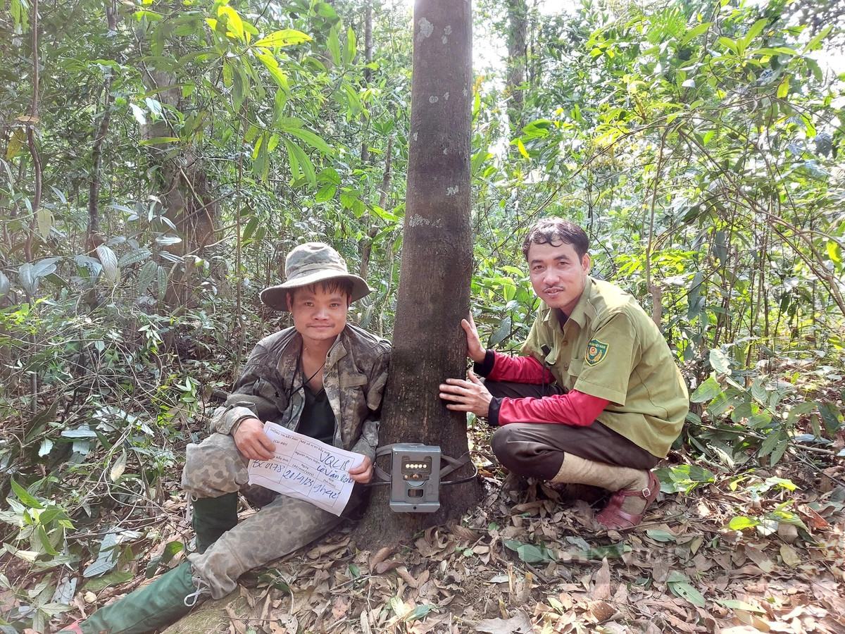 Theo ông Nguyễn Việt Hùng - Trưởng phòng Khoa học và Hợp tác quốc tế, Vườn Quốc gia Vũ Quang, Vườn Quốc gia Vũ Quang đã đặt 85 điểm đặt bẫy ảnh, giám sát đa dạng sinh học tại vườn ghi nhận được 58 loài động vật hoang dã, quý hiếm.