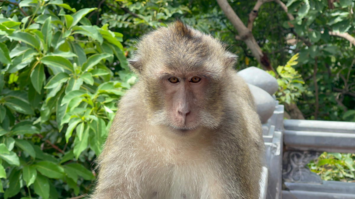 Ngược lại, chúng ta nên thấu hiểu, hỗ trợ họ nhiều hơn và giúp họ tìm ra mục tiêu, hướng đi cho riêng mình. Xây dựng các mối quan hệ ổn định, đáng tin cậy hơn.