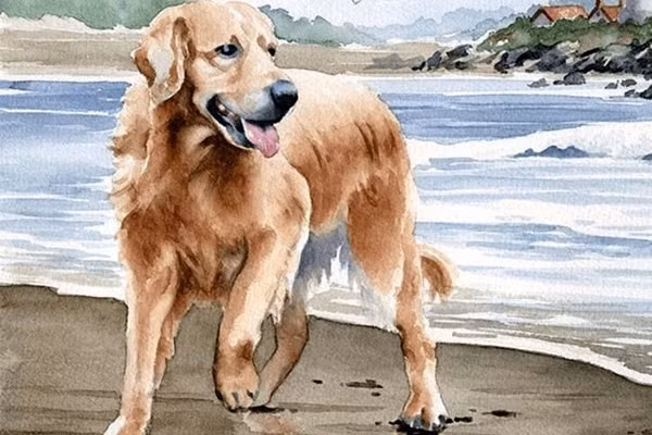 Dù có những biến động, đều là những điều tích cực, mang lại sự hưng thịnh cho cả sự nghiệp và tình cảm của bản mệnh.