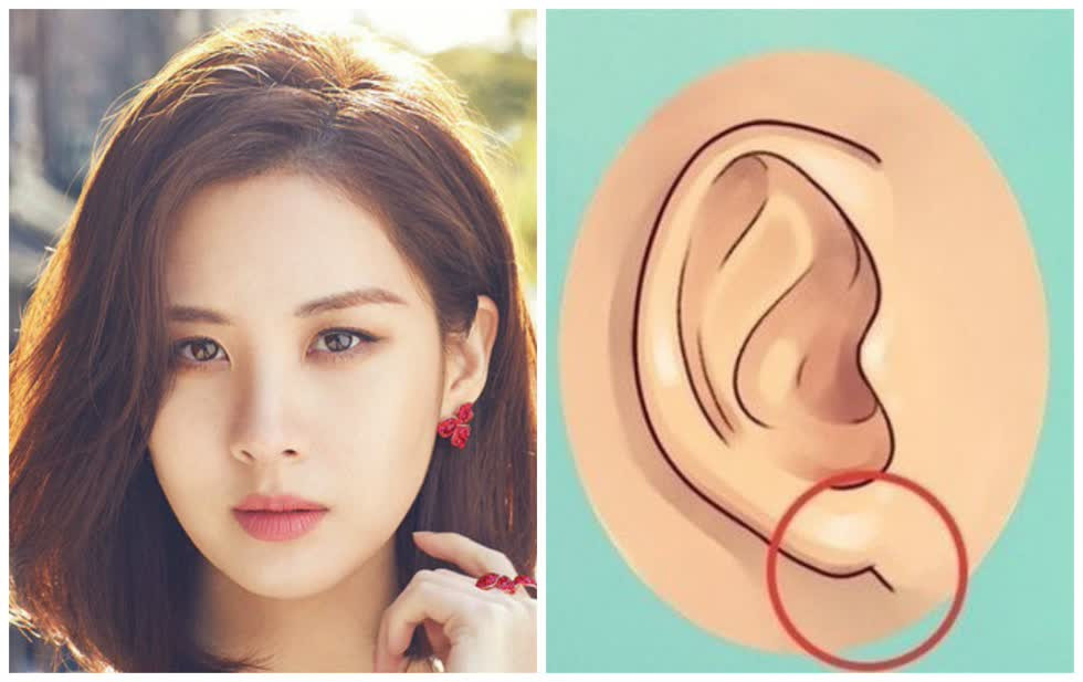  Người có tai bạt nhĩ: Trong nhân tướng học những người mang đôi tai bạt nhĩ thì nặng gánh gia đình. Dù bạn là nam hay nữ nhưng có nét tướng này thì tiền vào đằng trước lại luồn ra sau. 