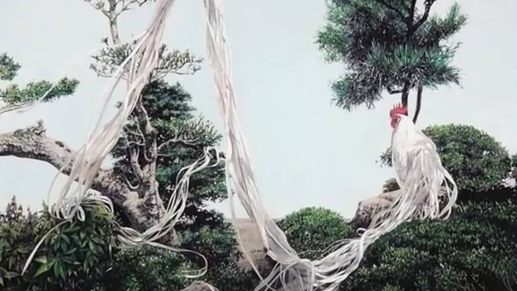  Gà Onagadori có vai trò quan trọng trong văn hóa Nhật Bản, được coi là “quốc sản” của người Nhật