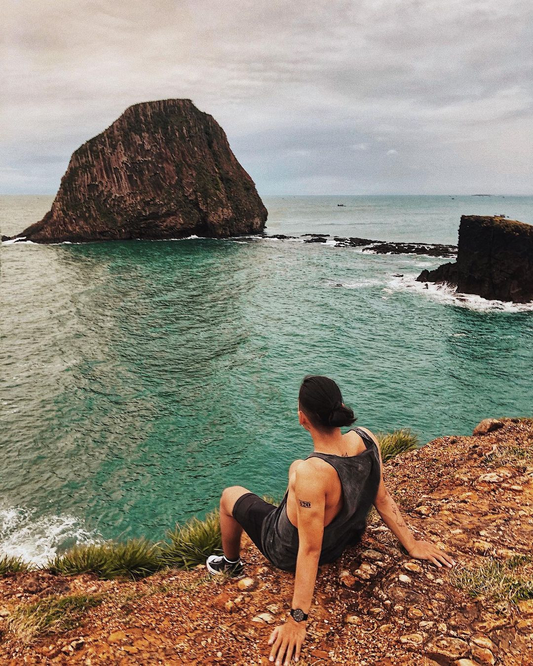 Hòn Yến hiện có 17 loài san hô khác nhau. San hô cũng là khu vực trú ngụ của nhiều loài sinh vật biển nhỏ khác như sao biển. Chính bởi những đặc điểm đặc biệt về hệ sinh thái cũng như cảnh quan thiên nhiên hay những rặng san hô sắc màu, hình dáng độc đáo có thể nhìn rõ trên cạn, năm 2018, Hòn yến đã chính thức được Bộ Văn hoá, Thể thao và Du lịch công nhận và danh lam thắng cảnh cấp Quốc gia. 