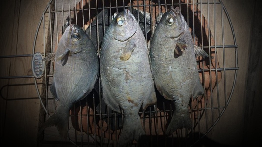 Ăn đặc sản cá tà ma ta sẽ cảm nhận được vị ngọt, vị dai của thịt, phần lườn mềm và béo ngậy, không tanh nên được thực khách săn lùng